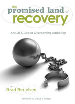 Cover of The Promised Land of Recovery book